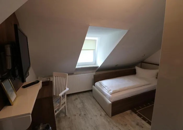Guest house Boritzka 3*